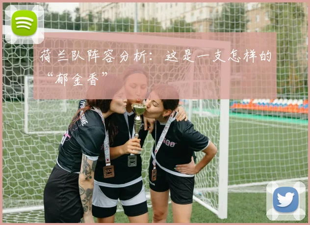 荷兰队阵容分析：这是一支怎样的“郁金香”