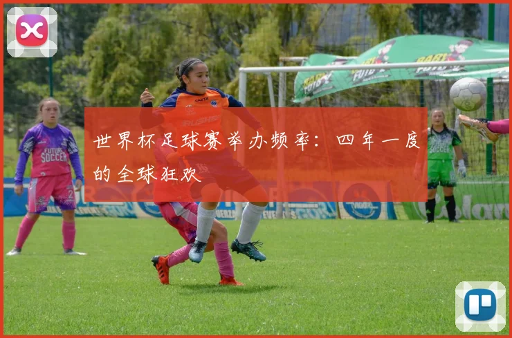 世界杯足球赛举办频率：四年一度的全球狂欢